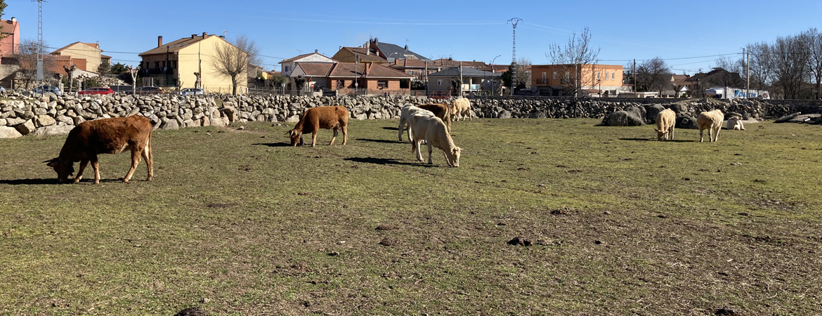 Ganadería familiar